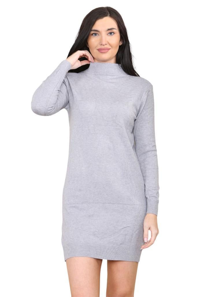 Women's knitted Turtle neck Bodycon