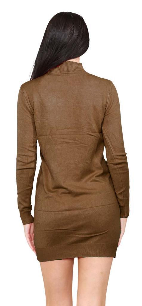Women's knitted Turtle neck Bodycon