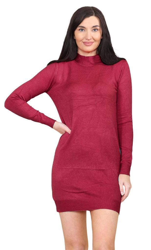 Women's knitted Turtle neck Bodycon