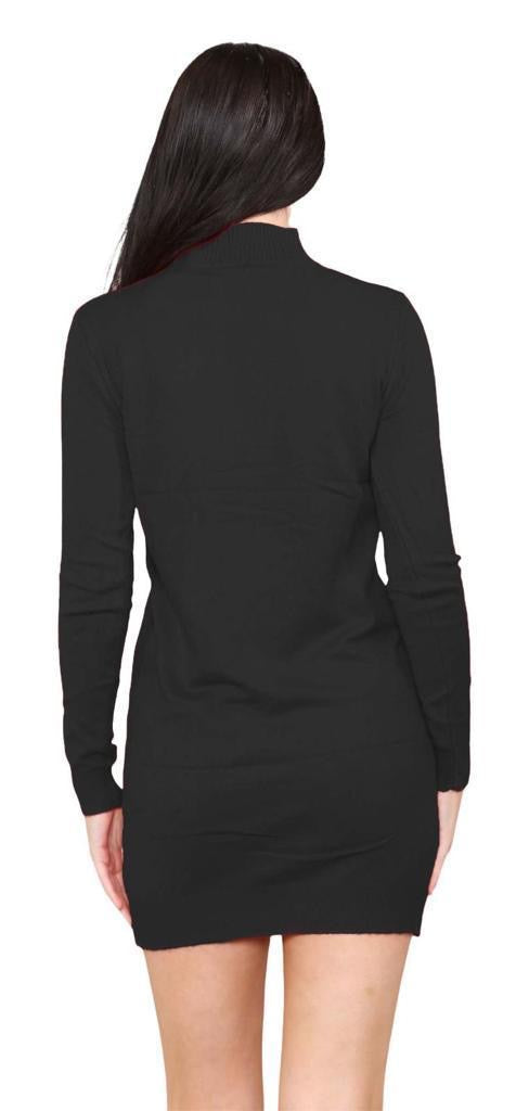 Women's knitted Turtle neck Bodycon