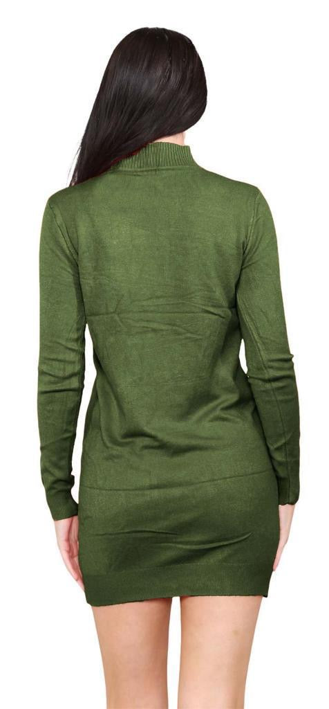 Women's knitted Turtle neck Bodycon