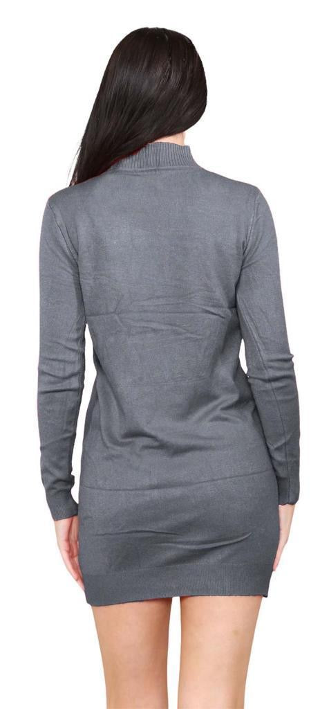 Women's knitted Turtle neck Bodycon