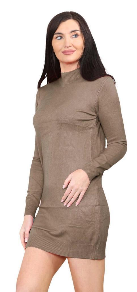 Women's knitted Turtle neck Bodycon