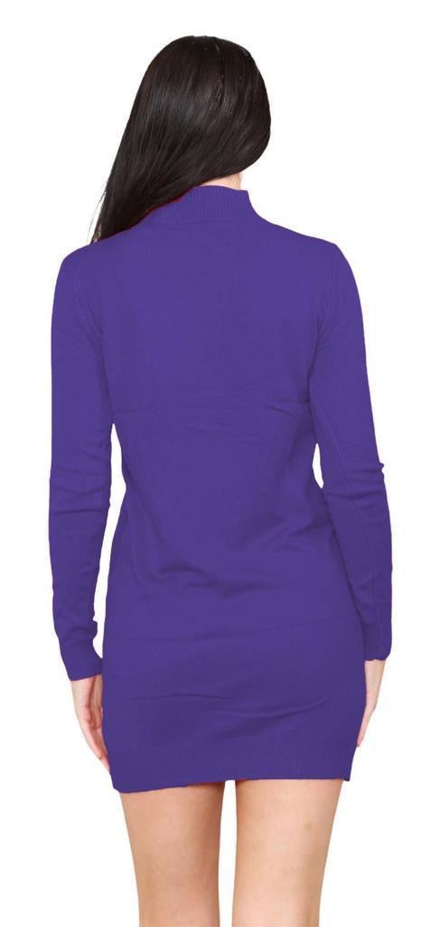 Women's knitted Turtle neck Bodycon