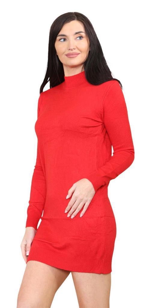 Women's knitted Turtle neck Bodycon