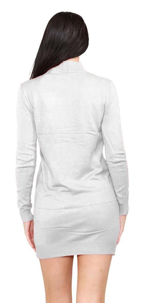 Women's knitted Turtle neck Bodycon