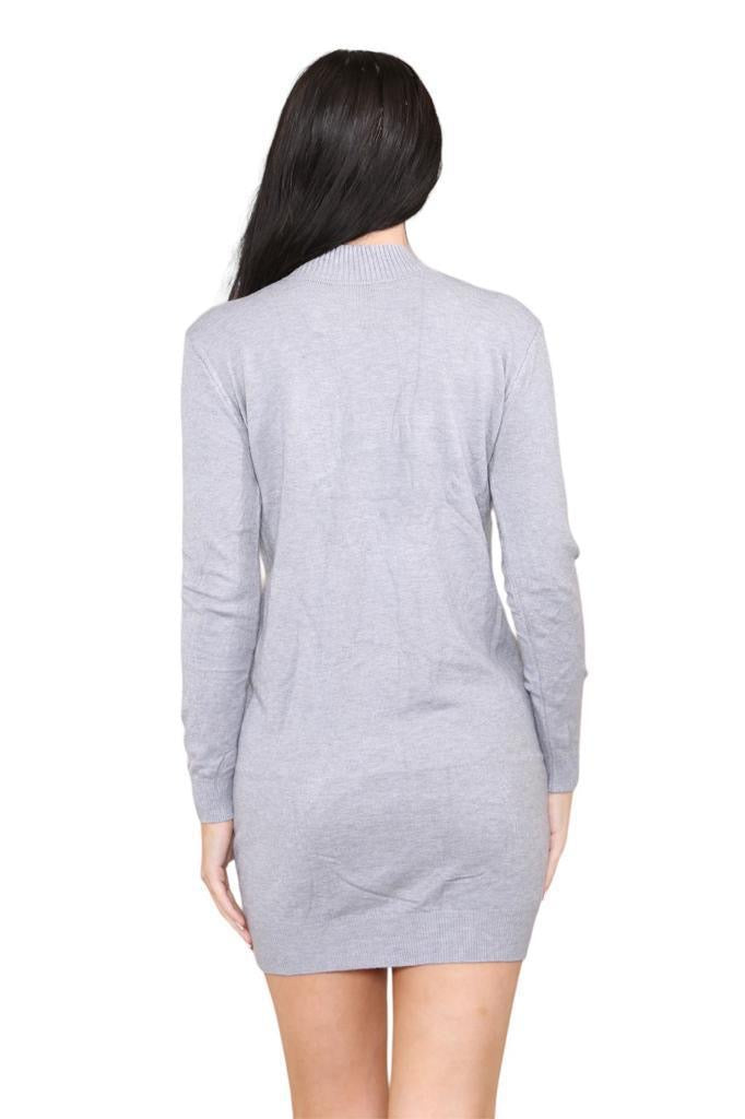 Women's knitted Turtle neck Bodycon