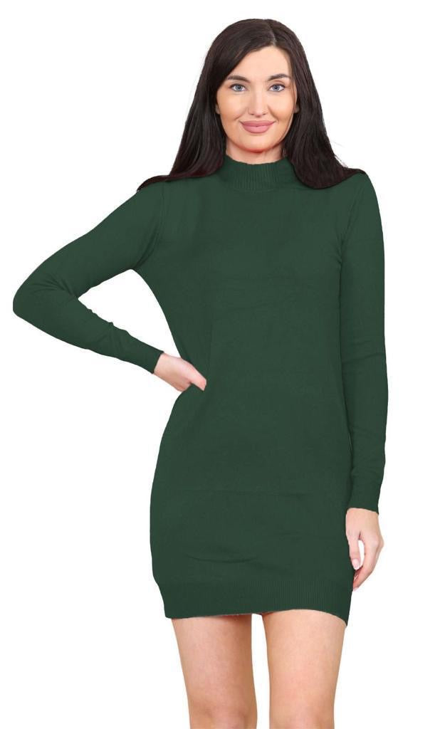 Women's knitted Turtle neck Bodycon