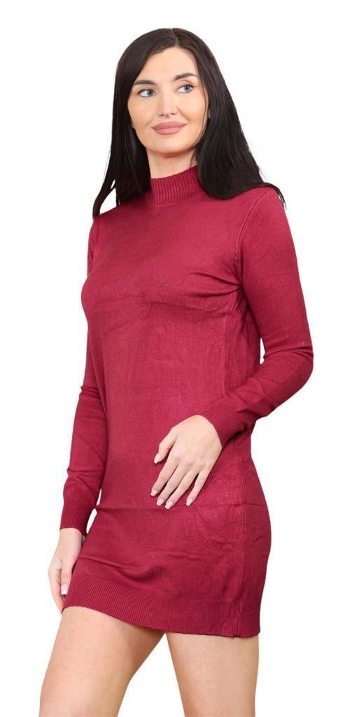 Women's knitted Turtle neck Bodycon