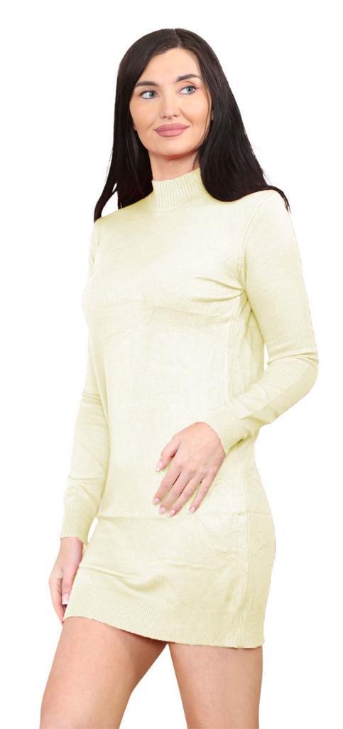 Women's knitted Turtle neck Bodycon
