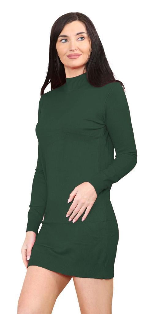 Women's knitted Turtle neck Bodycon