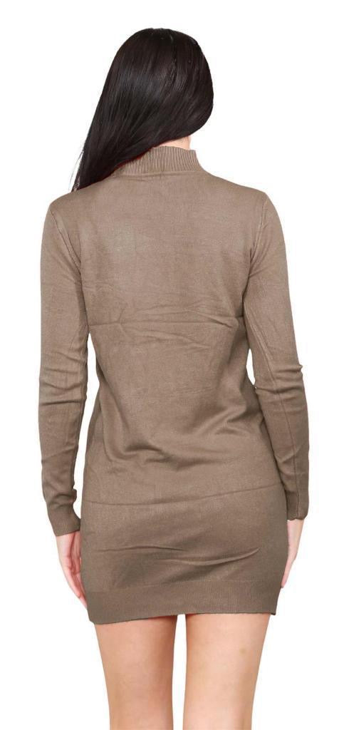 Women's knitted Turtle neck Bodycon