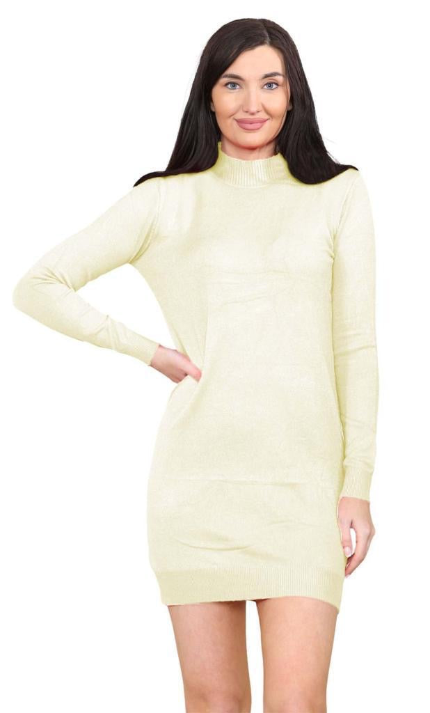 Women's knitted Turtle neck Bodycon