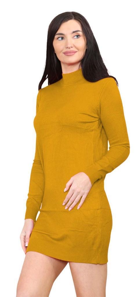 Women's knitted Turtle neck Bodycon