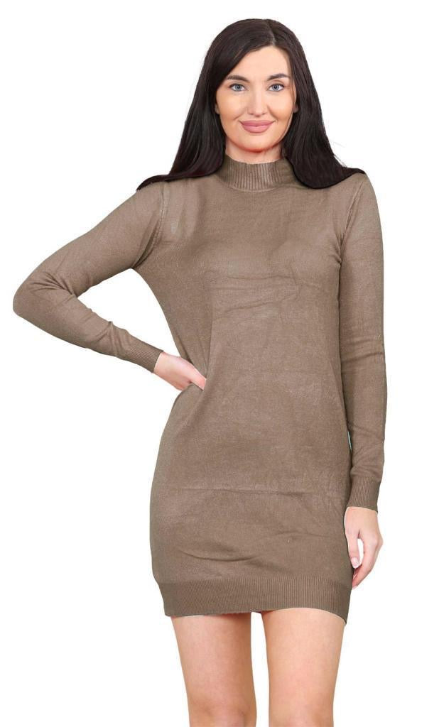 Women's knitted Turtle neck Bodycon