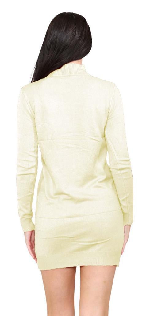 Women's knitted Turtle neck Bodycon
