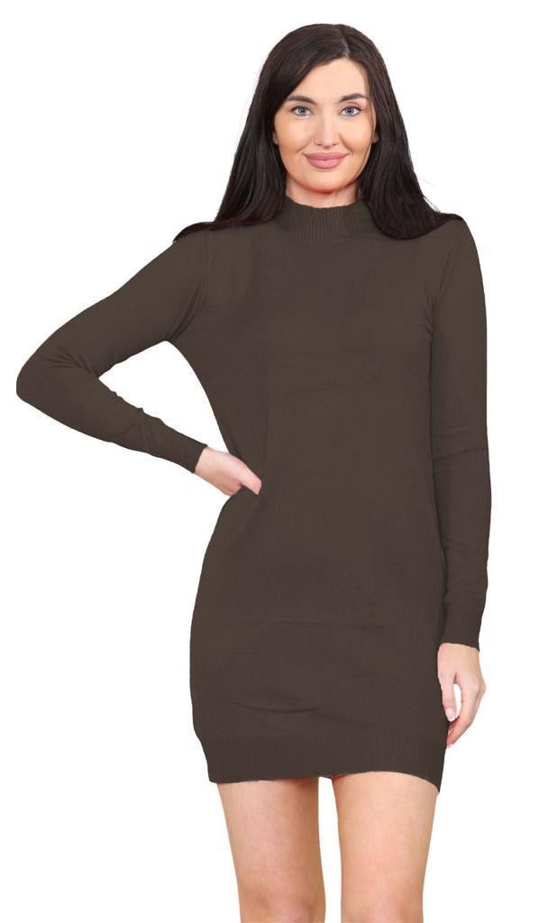 Women's knitted Turtle neck Bodycon