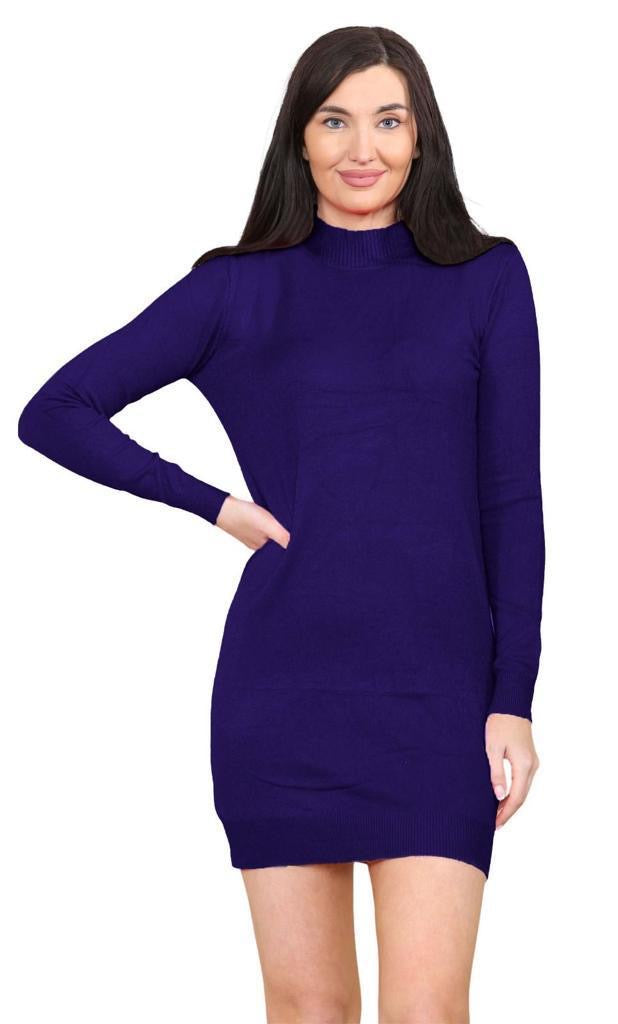 Women's knitted Turtle neck Bodycon
