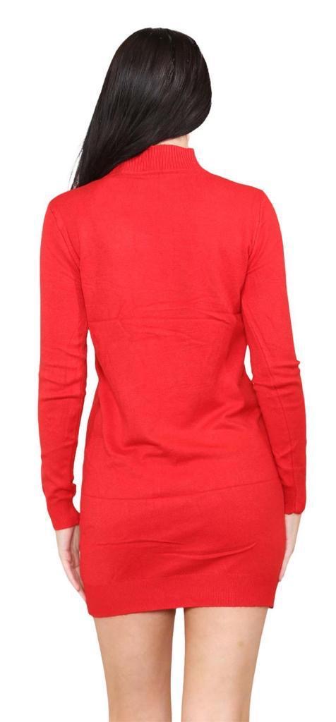 Women's knitted Turtle neck Bodycon