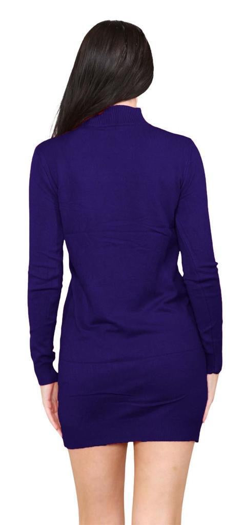 Women's knitted Turtle neck Bodycon