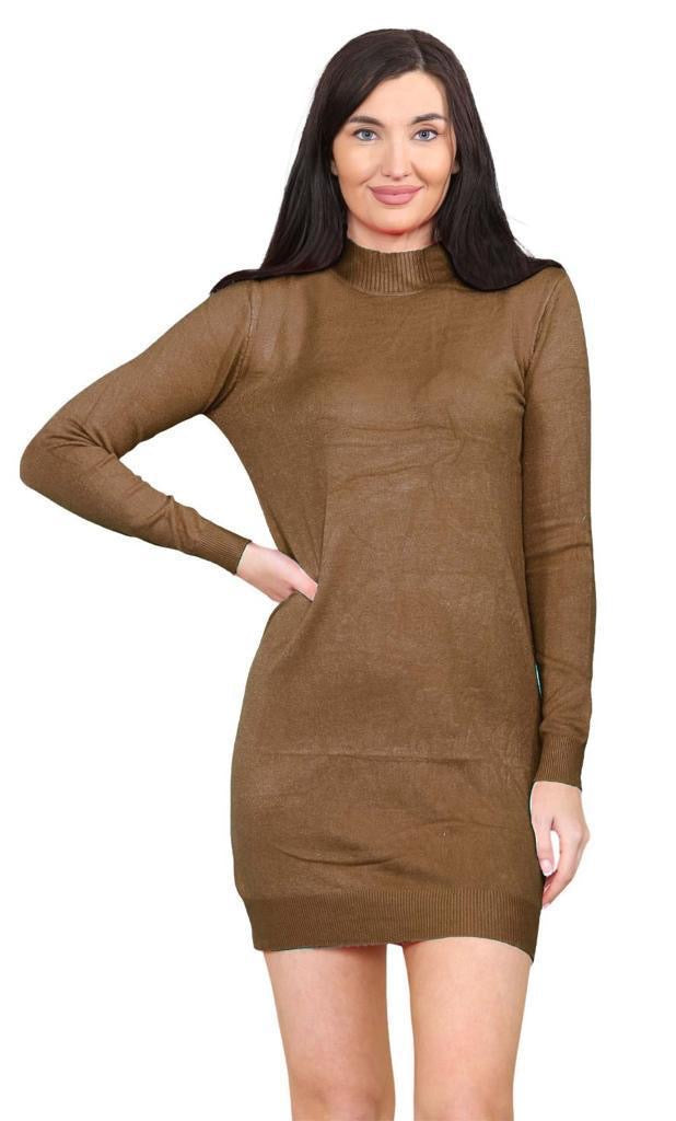 Women's knitted Turtle neck Bodycon