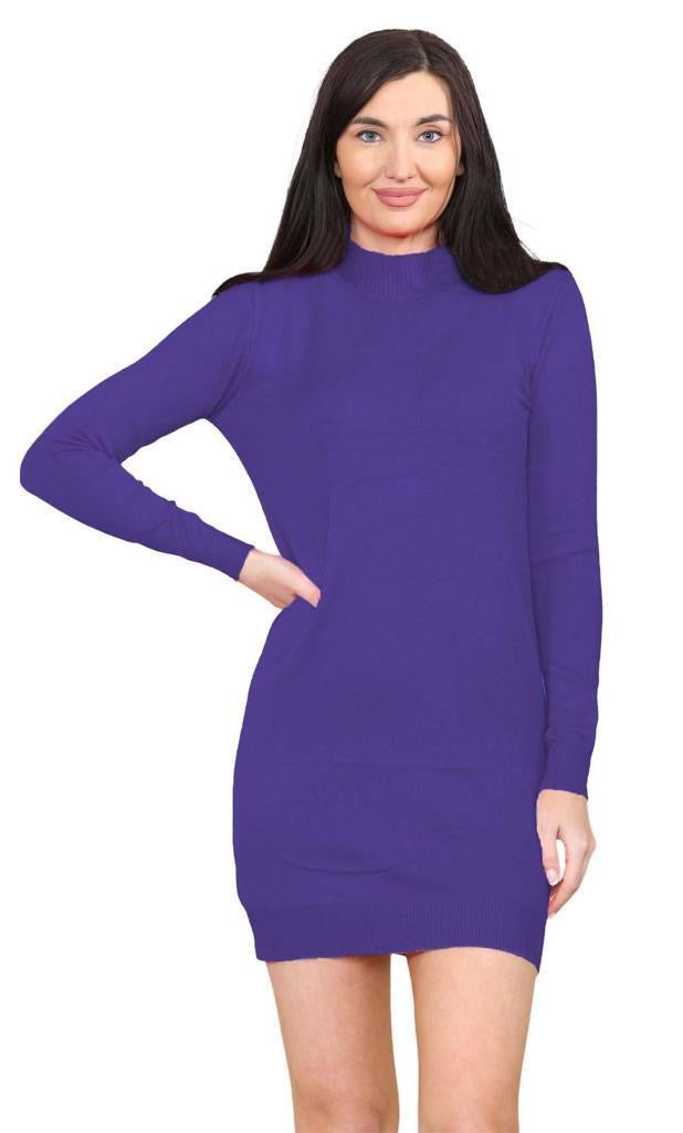 Women's knitted Turtle neck Bodycon