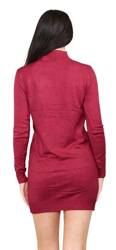 Women's knitted Turtle neck Bodycon