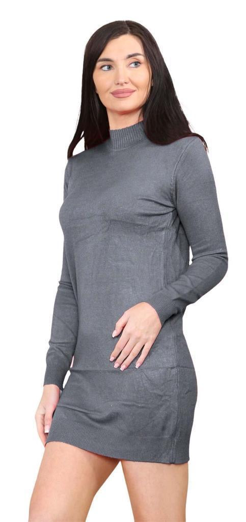 Women's knitted Turtle neck Bodycon