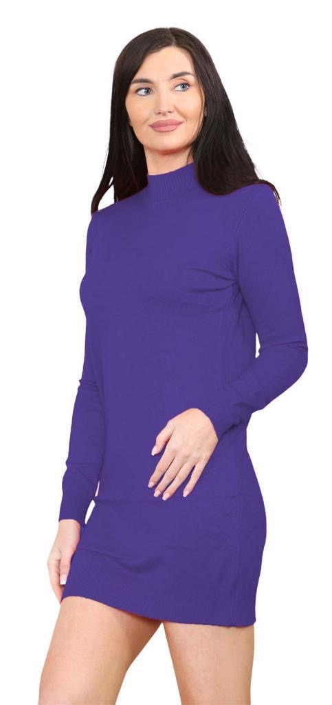 Women's knitted Turtle neck Bodycon