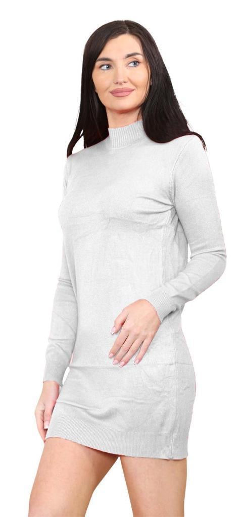 Women's knitted Turtle neck Bodycon