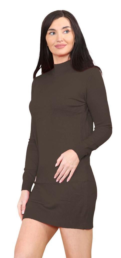 Women's knitted Turtle neck Bodycon