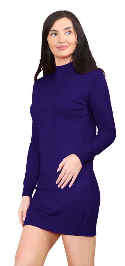 Women's knitted Turtle neck Bodycon