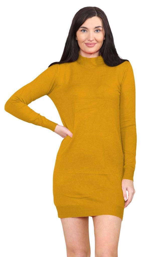 Women's knitted Turtle neck Bodycon