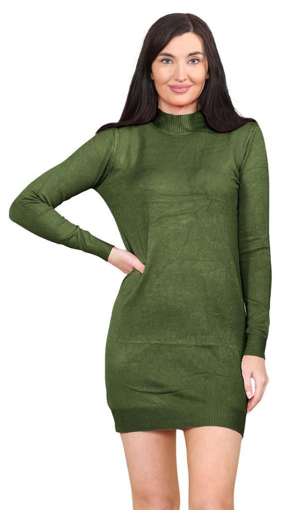 Women's knitted Turtle neck Bodycon