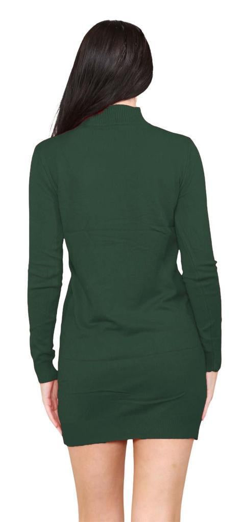 Women's knitted Turtle neck Bodycon