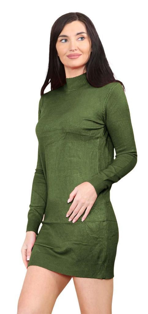 Women's knitted Turtle neck Bodycon