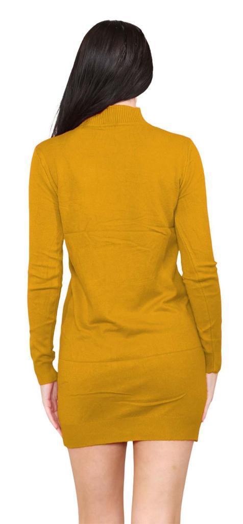 Women's knitted Turtle neck Bodycon
