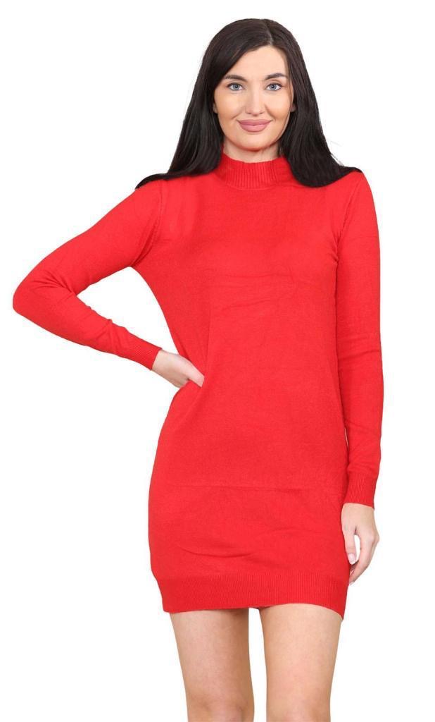 Women's knitted Turtle neck Bodycon